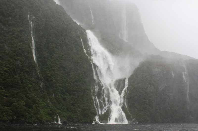 Nieuw-Zeeland 2011 - 1711